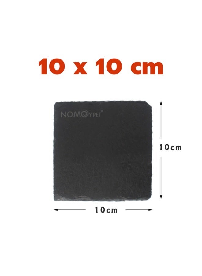 NomoyPet لوح شحذ مخالب الزواحف والسلاحف - 10×10 سم - Image 3